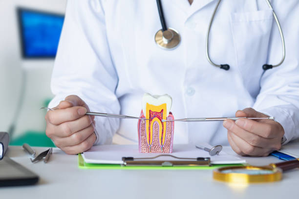 Best Cosmetic Emergency Dentistry in Surrey, ND